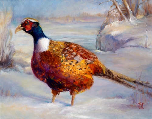 Pheasant