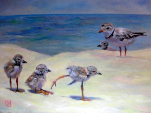 Piping Plover Beach Babies